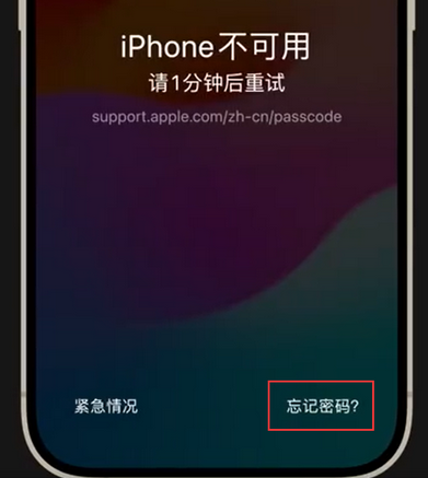 桐城苹果手机密码维修分享iPhone忘记了刚设置的密码 